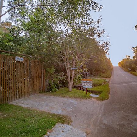 Aruana Suites Seu Refugio Entre Arvores A 5Km Da Vila De פראיה דו פורטה מראה חיצוני תמונה